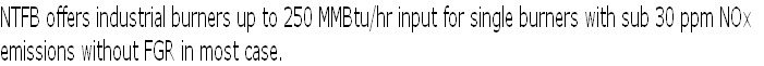 NTFB offers industrial burners up to 250 MMBtu/hr input for single burners with sub 30 ppm NOx 
emissions without FGR in most case. 